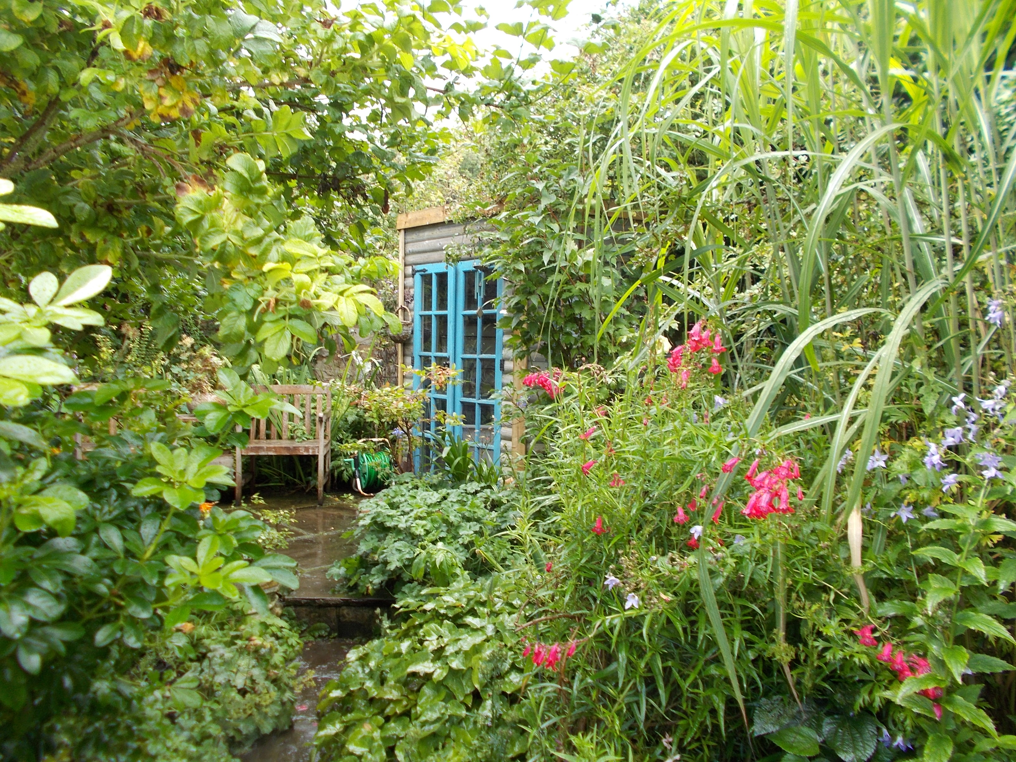 Doncaster in Bloom entry